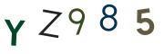 圖片的 CAPTCHA