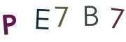 圖片的 CAPTCHA