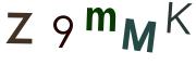 圖片的 CAPTCHA