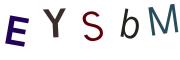 圖片的 CAPTCHA