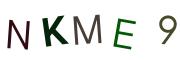 圖片的 CAPTCHA