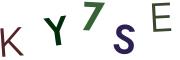 圖片的 CAPTCHA