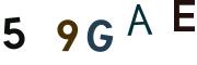 圖片的 CAPTCHA