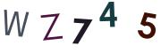 圖片的 CAPTCHA