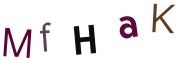 圖片的 CAPTCHA