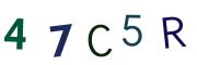 圖片的 CAPTCHA
