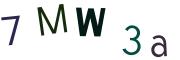 圖片的 CAPTCHA