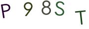 圖片的 CAPTCHA