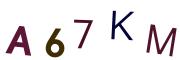 圖片的 CAPTCHA