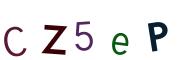 圖片的 CAPTCHA