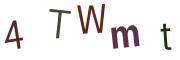 圖片的 CAPTCHA