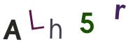圖片的 CAPTCHA