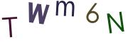 圖片的 CAPTCHA