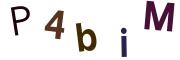 圖片的 CAPTCHA