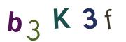 圖片的 CAPTCHA