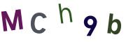 圖片的 CAPTCHA