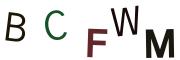 圖片的 CAPTCHA