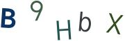 圖片的 CAPTCHA