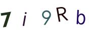 圖片的 CAPTCHA
