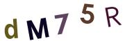 圖片的 CAPTCHA