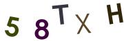 圖片的 CAPTCHA