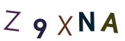 圖片的 CAPTCHA