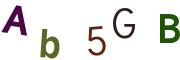 圖片的 CAPTCHA