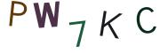 圖片的 CAPTCHA