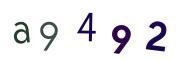 圖片的 CAPTCHA