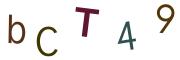 圖片的 CAPTCHA