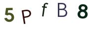 圖片的 CAPTCHA