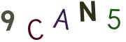 圖片的 CAPTCHA