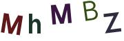 圖片的 CAPTCHA