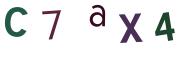 圖片的 CAPTCHA