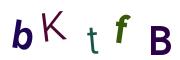 圖片的 CAPTCHA