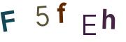 圖片的 CAPTCHA