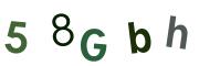 圖片的 CAPTCHA
