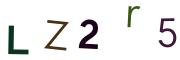 圖片的 CAPTCHA