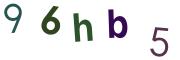 圖片的 CAPTCHA
