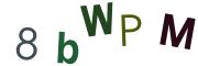 圖片的 CAPTCHA