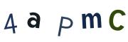 圖片的 CAPTCHA