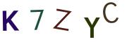 圖片的 CAPTCHA