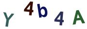 圖片的 CAPTCHA