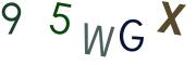 圖片的 CAPTCHA