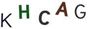 圖片的 CAPTCHA
