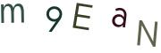 圖片的 CAPTCHA