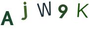 圖片的 CAPTCHA