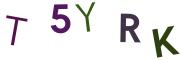 圖片的 CAPTCHA