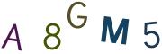 圖片的 CAPTCHA