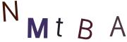 圖片的 CAPTCHA